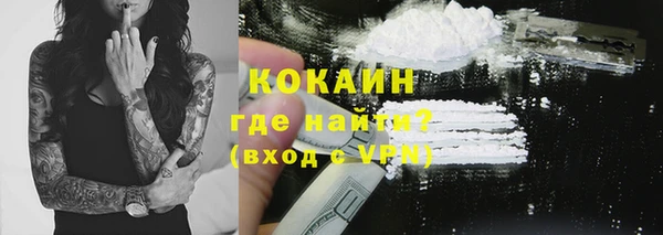 трава Корсаков