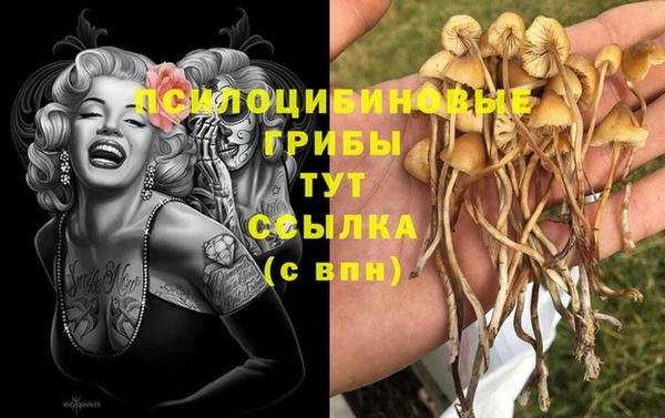 мяу мяу мука Костерёво