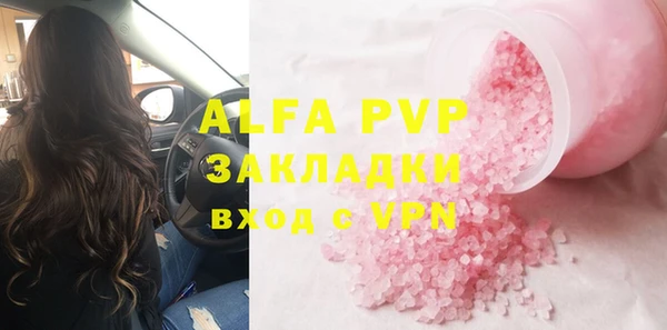 трава Корсаков