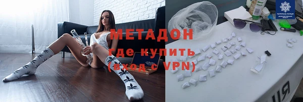 трава Корсаков