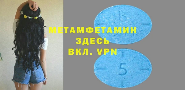 трава Корсаков