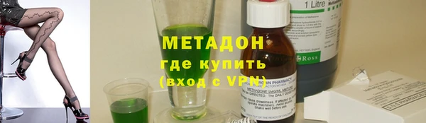 трава Корсаков