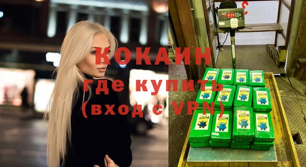 трава Корсаков