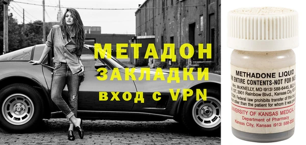 трава Корсаков