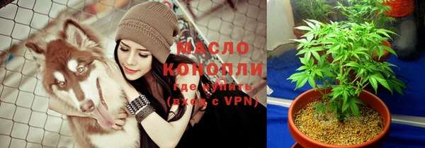 трава Корсаков