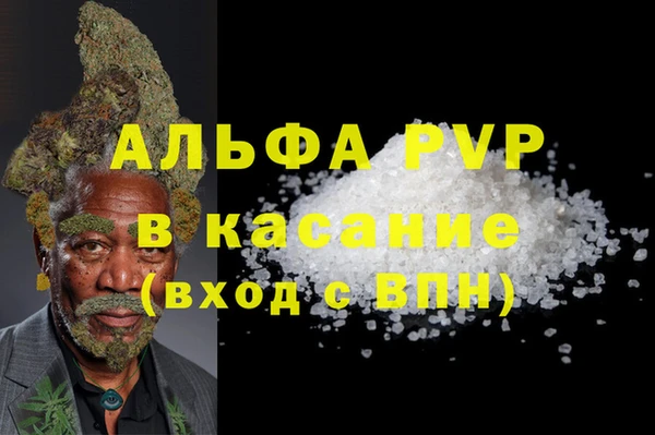 трава Корсаков