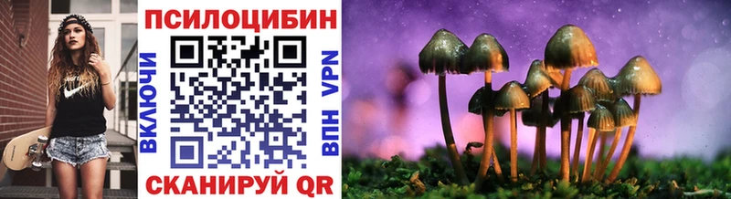 Купить где  Владимир  Галлюциногенные грибы Psilocybe 
